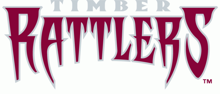 Wisconsin Timber Rattlers 2011-pres wordmark logo iron on transfers for clothing